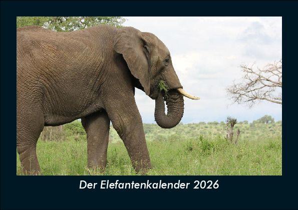 Der Elefantenkalender 2026 Fotokalender DIN A5