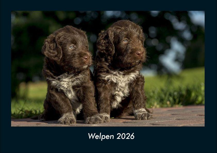 Welpen 2026 Fotokalender DIN A4