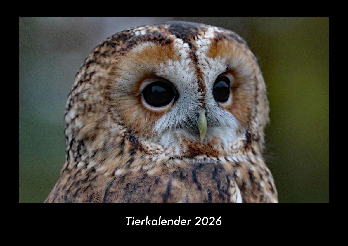 Tierkalender 2026 Fotokalender DIN A3