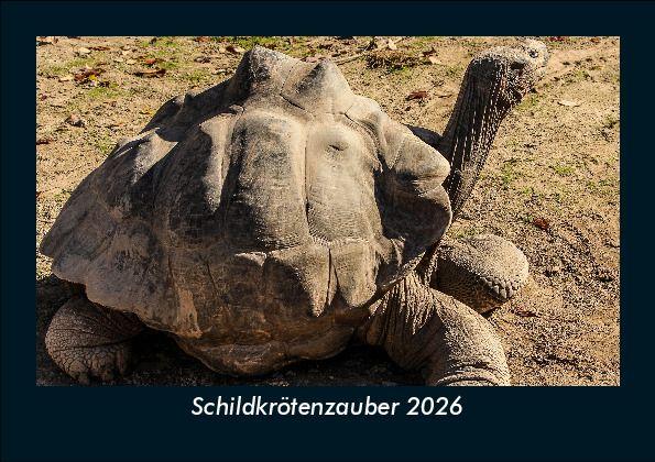 Schildkrötenzauber 2026 Fotokalender DIN A5