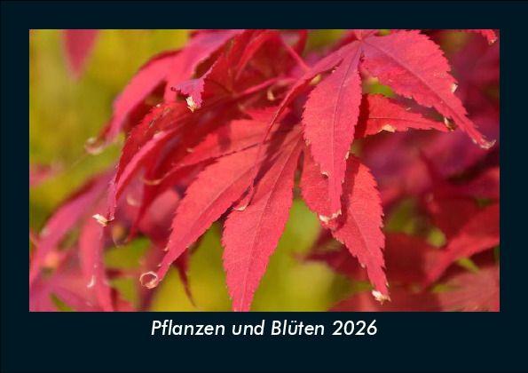 Pflanzen und Blüten 2026 Fotokalender DIN A5