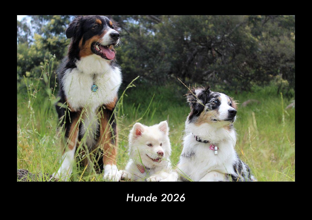 Hunde 2026 Fotokalender DIN A3