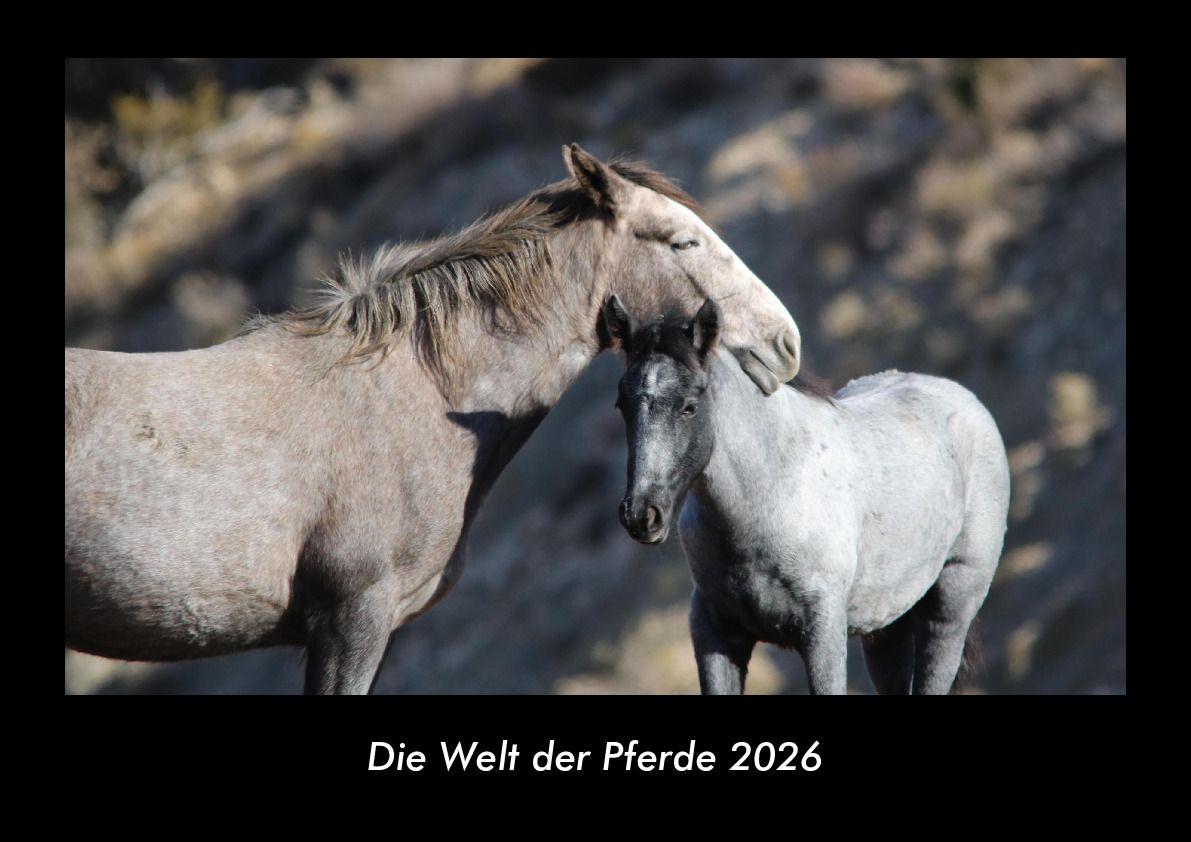 Die Welt der Pferde 2026 Fotokalender DIN A3