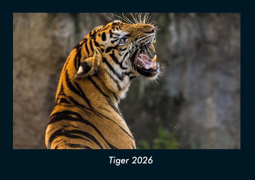 Tiger 2026 Fotokalender DIN A4