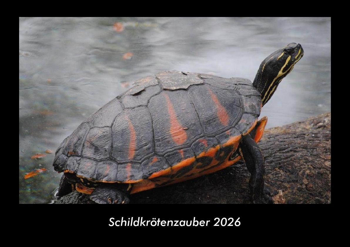 Schildkrötenzauber 2026 Fotokalender DIN A3