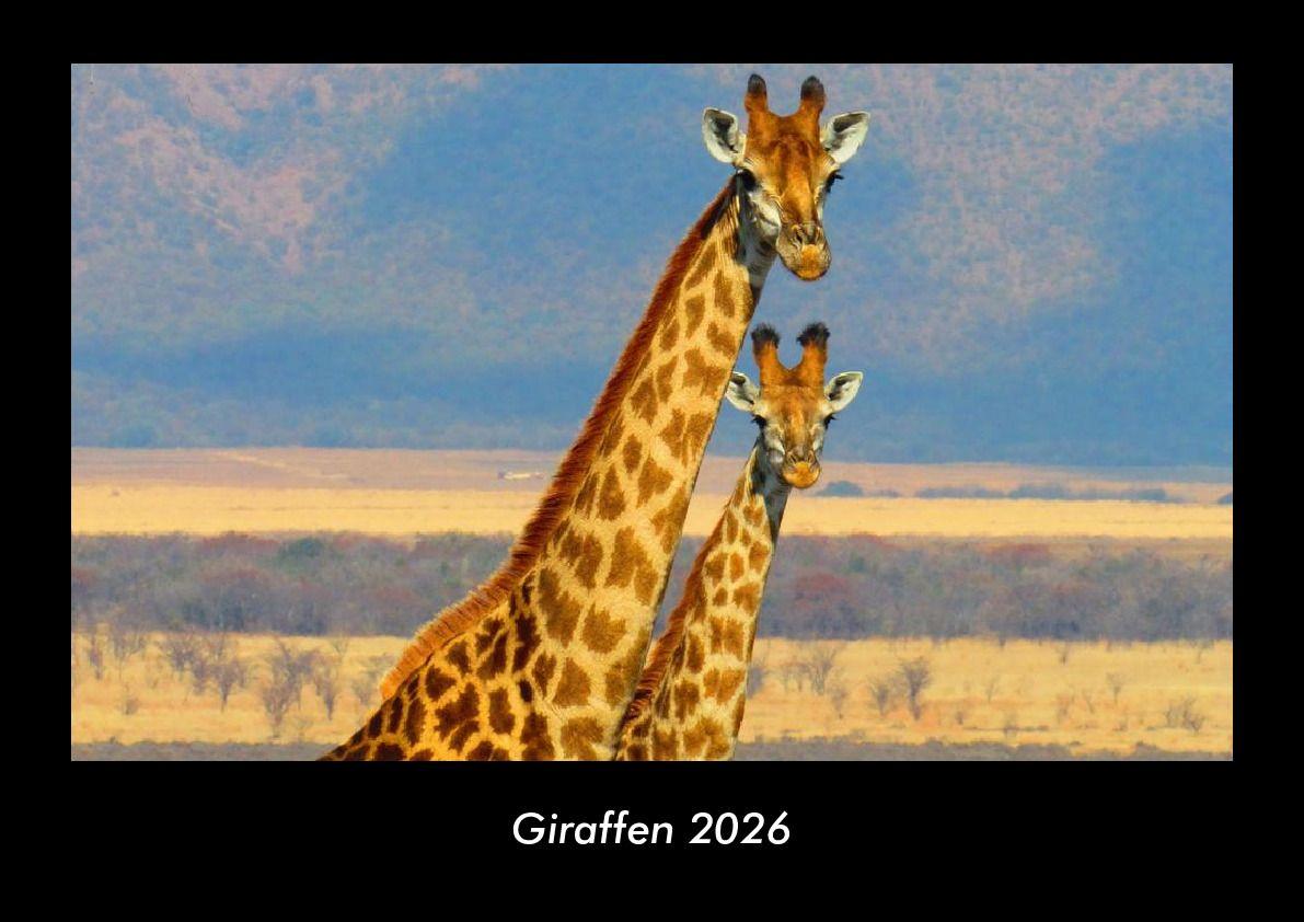 Giraffen 2026 Fotokalender DIN A3