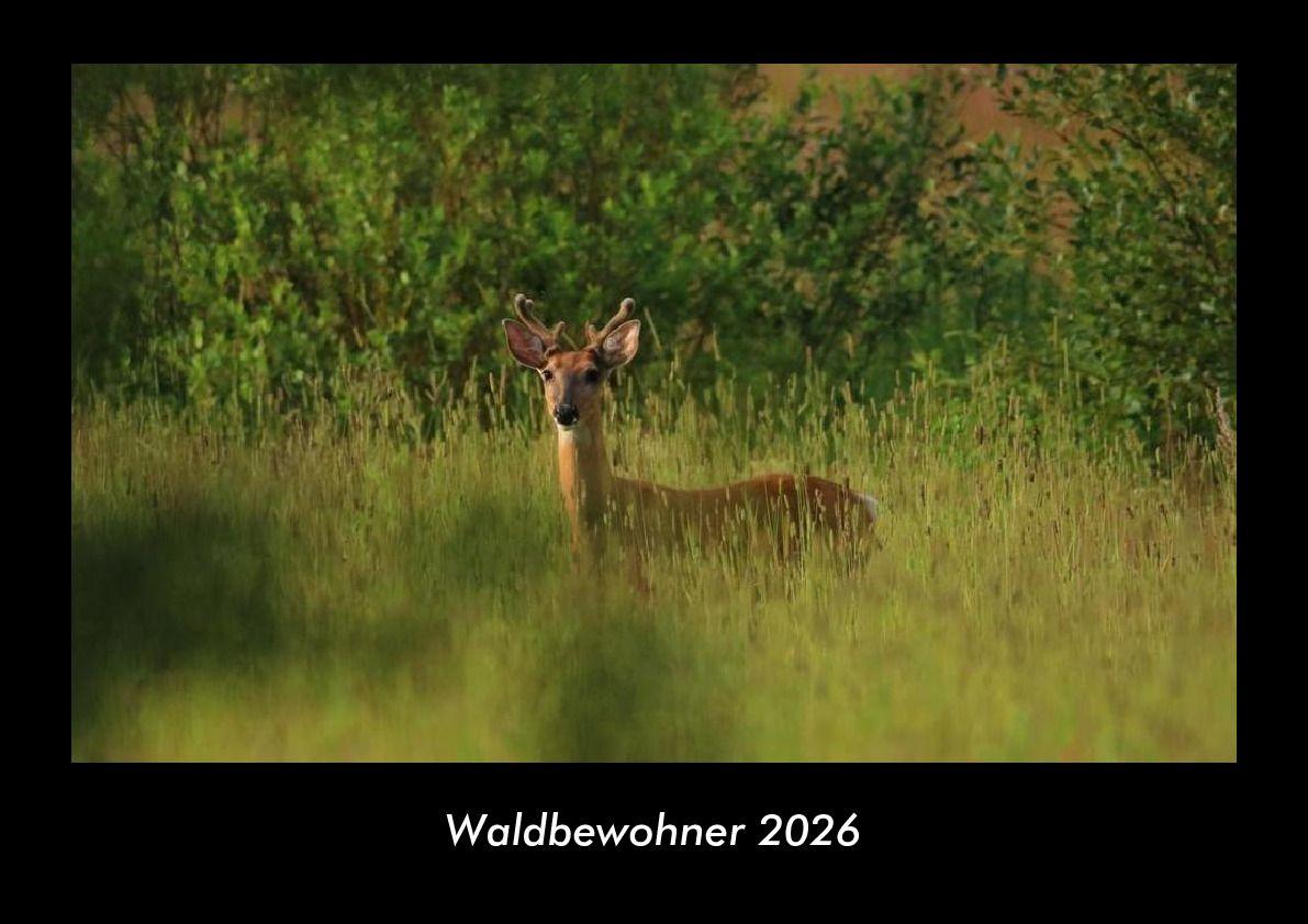 Waldbewohner 2026 Fotokalender DIN A3