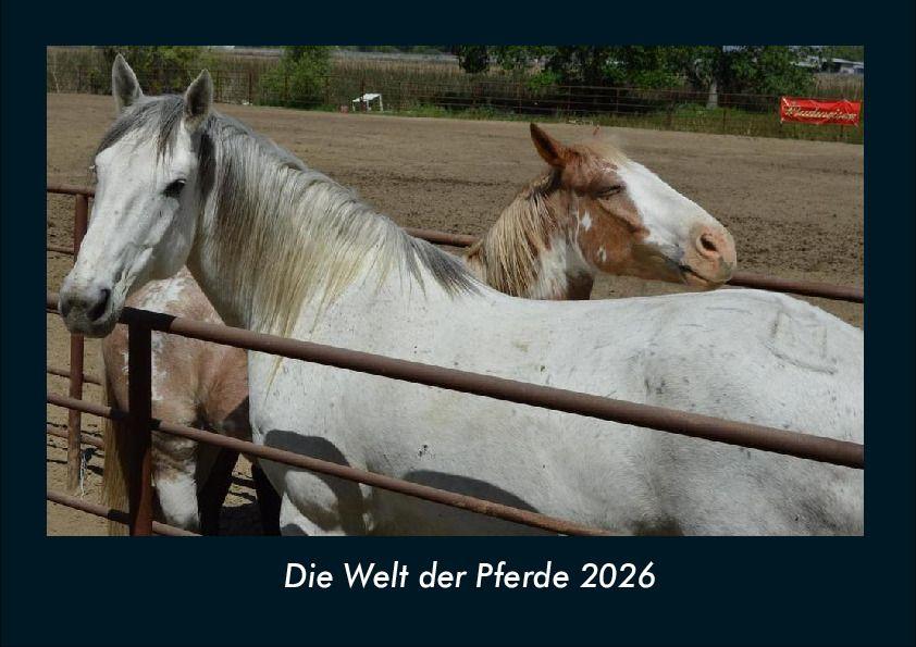 Die Welt der Pferde 2026 Fotokalender DIN A4