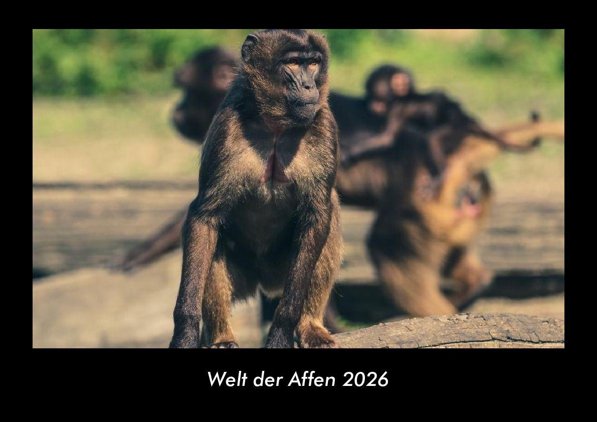 Welt der Affen 2026 Fotokalender DIN A3
