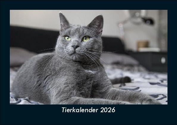 Tierkalender 2026 Fotokalender DIN A5