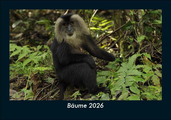 Bäume 2026 Fotokalender DIN A5