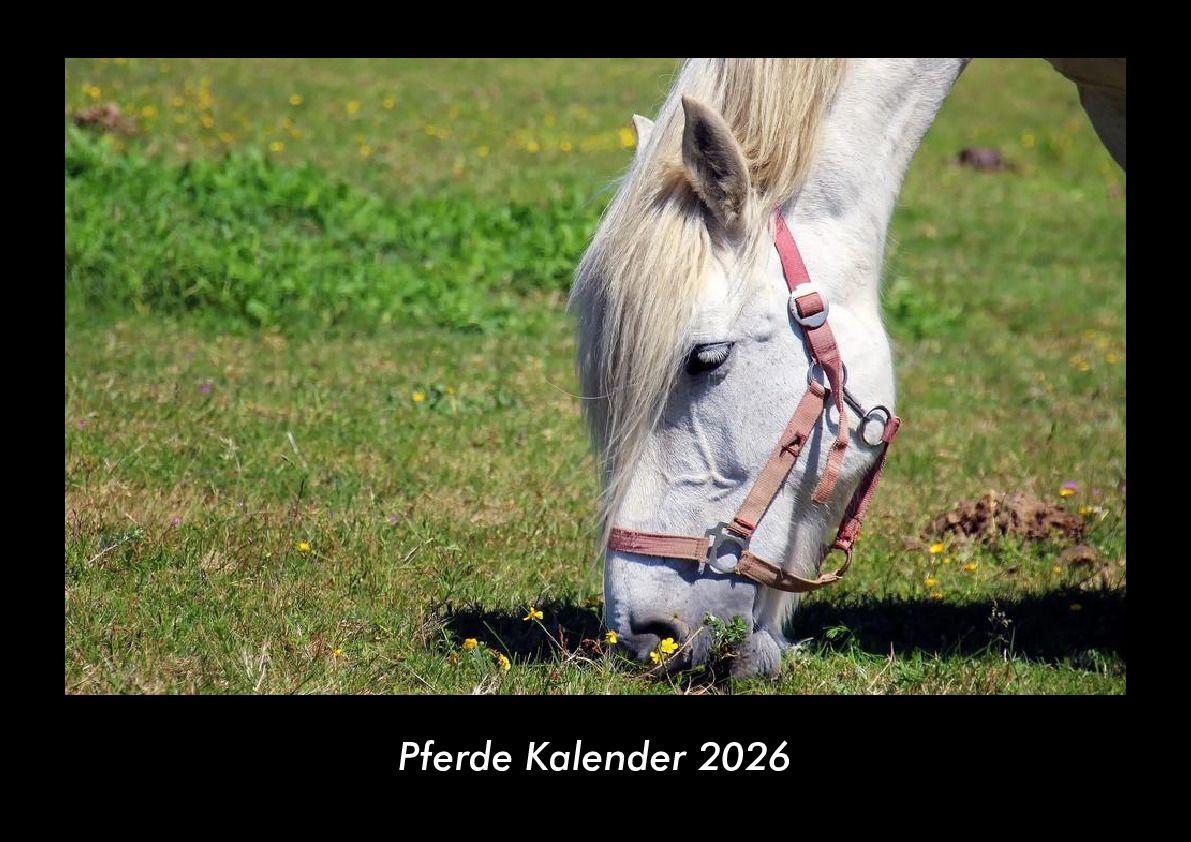Pferde Kalender 2026 Fotokalender DIN A3
