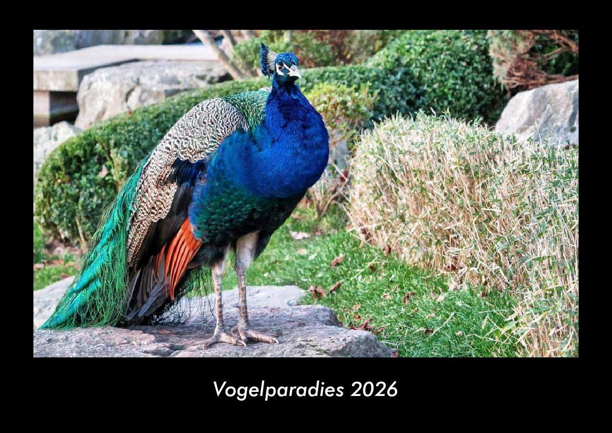 Vogelparadies 2026 Fotokalender DIN A3