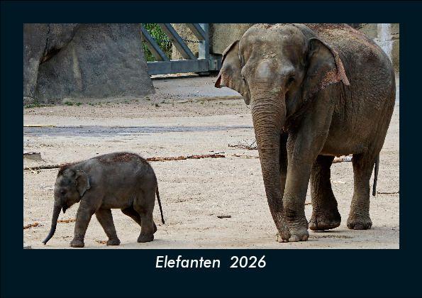 Elefanten 2026 Fotokalender DIN A5