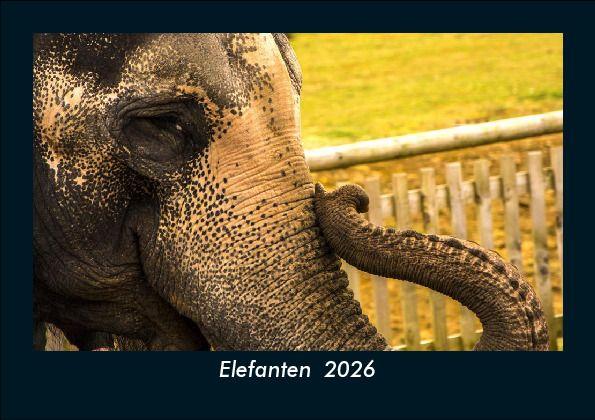 Elefanten 2026 Fotokalender DIN A5