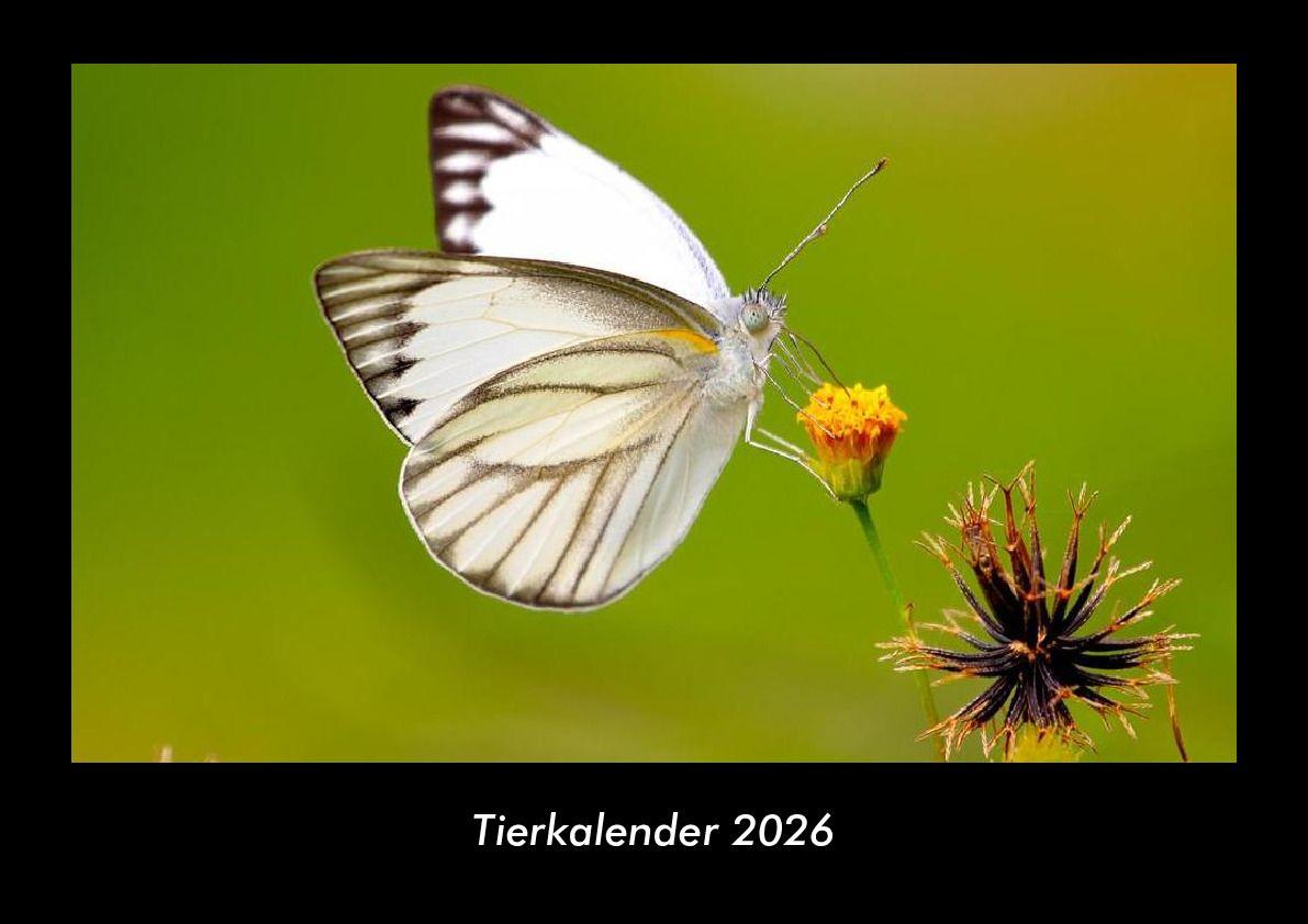 Tierkalender 2026 Fotokalender DIN A3