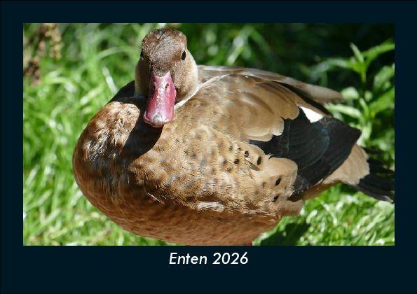 Enten 2026 Fotokalender DIN A5