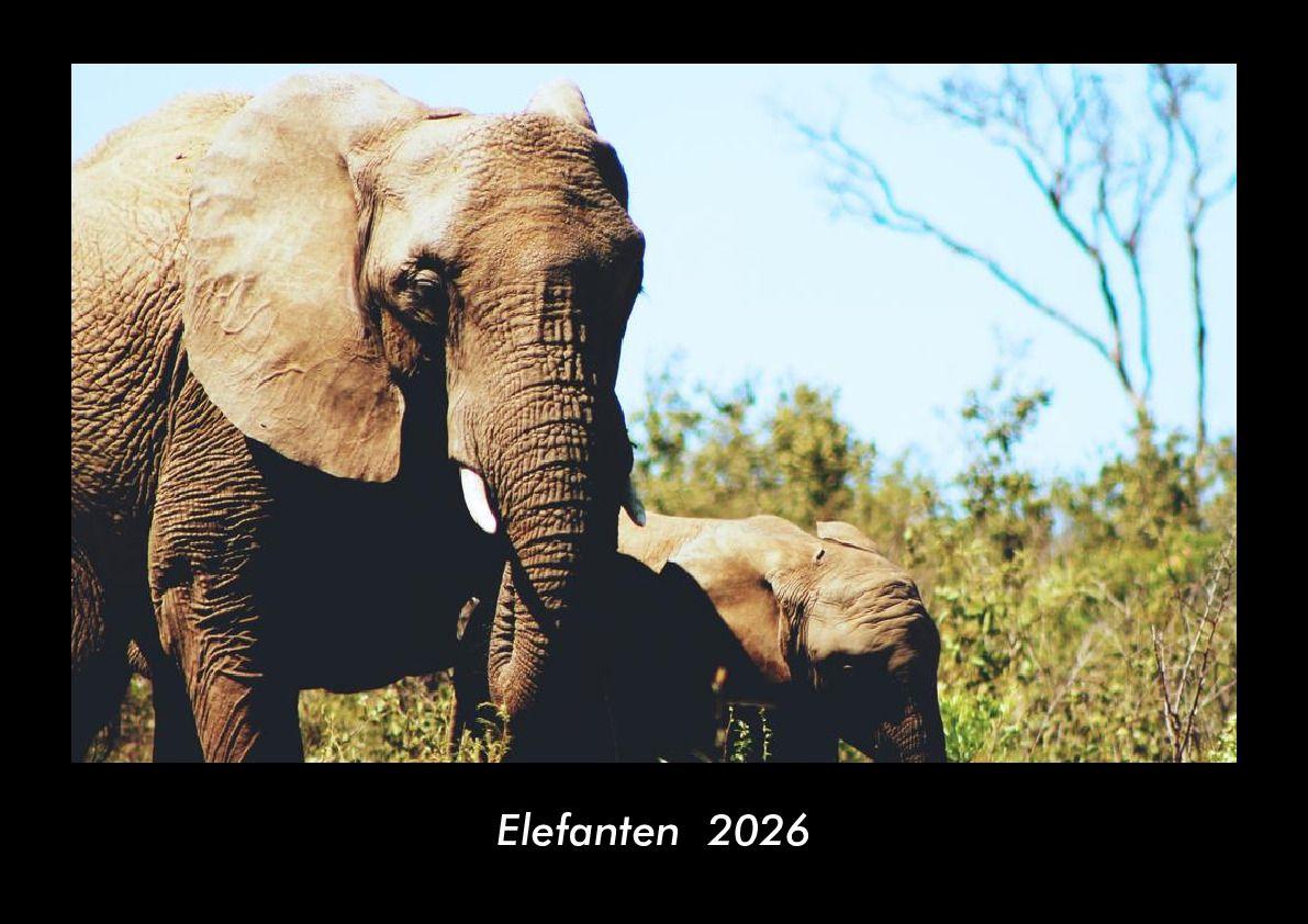 Elefanten 2026 Fotokalender DIN A3