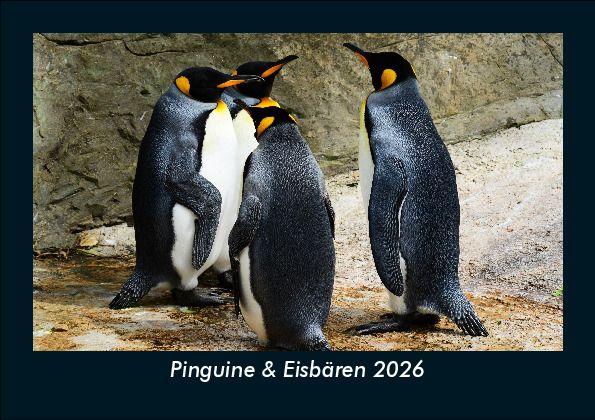 Pinguine & Eisbären 2026 Fotokalender DIN A5