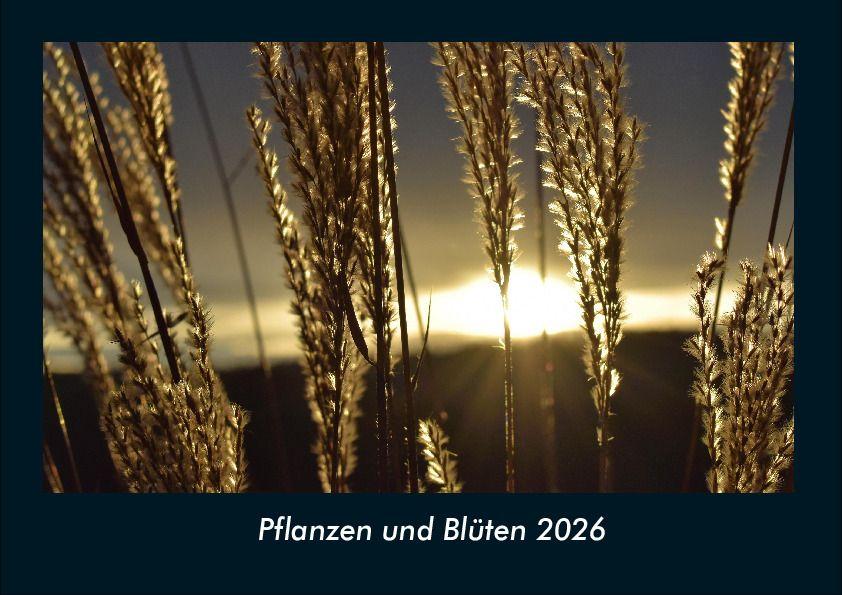 Pflanzen und Blüten 2026 Fotokalender DIN A4