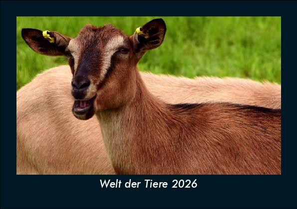 Welt der Tiere 2026 Fotokalender DIN A5