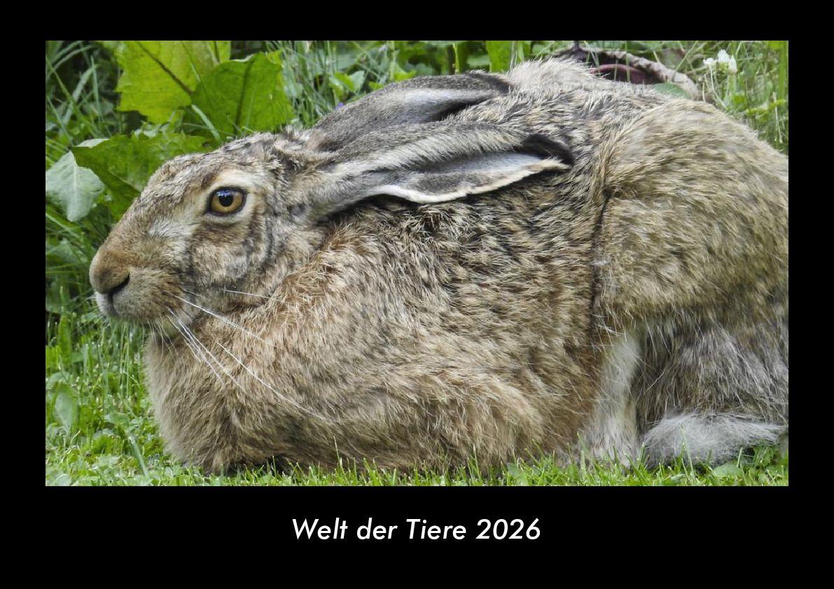 Welt der Tiere 2026 Fotokalender DIN A3