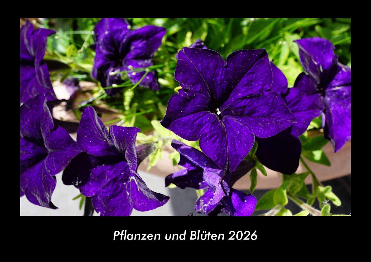 Pflanzen und Blüten 2026 Fotokalender DIN A3