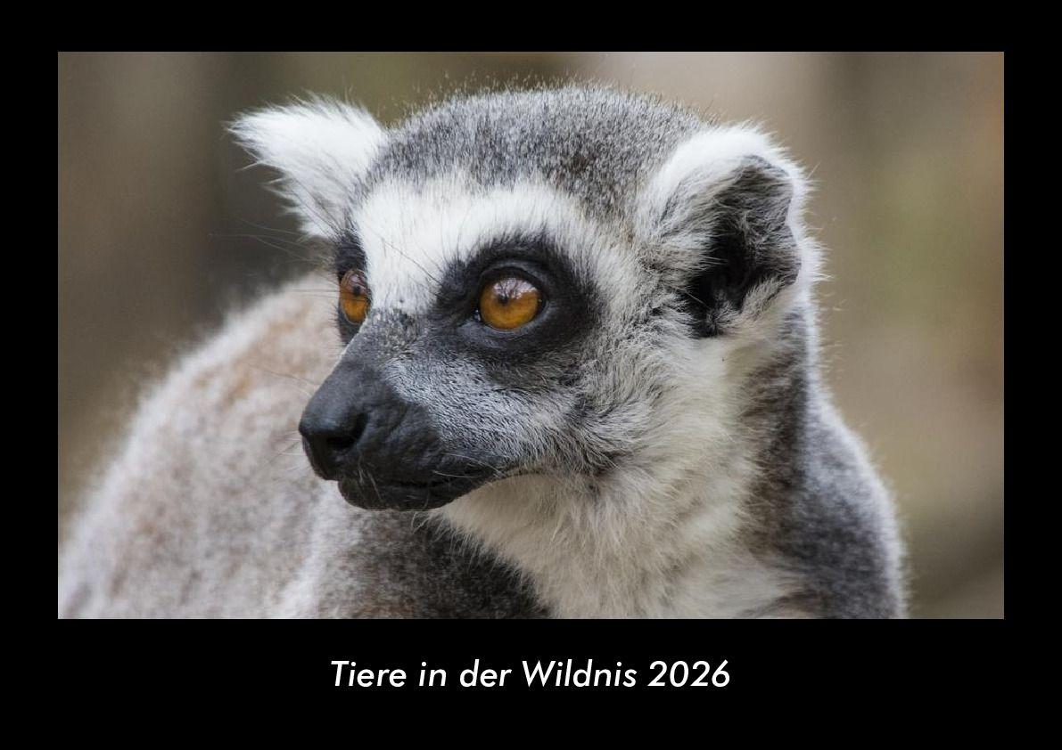 Tiere in der Wildnis 2026 Fotokalender DIN A3