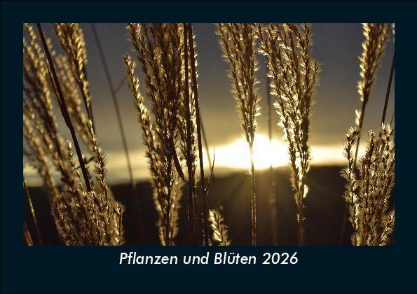 Pflanzen und Blüten 2026 Fotokalender DIN A5