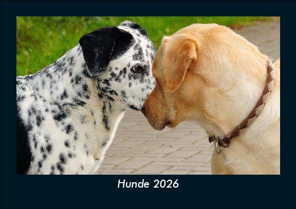 Hunde 2026 Fotokalender DIN A5