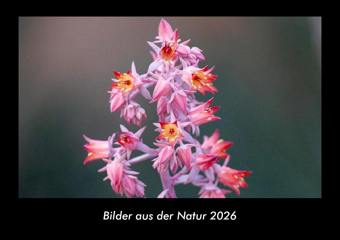 Bilder aus der Natur 2026 Fotokalender DIN A3