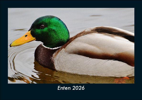 Enten 2026 Fotokalender DIN A5