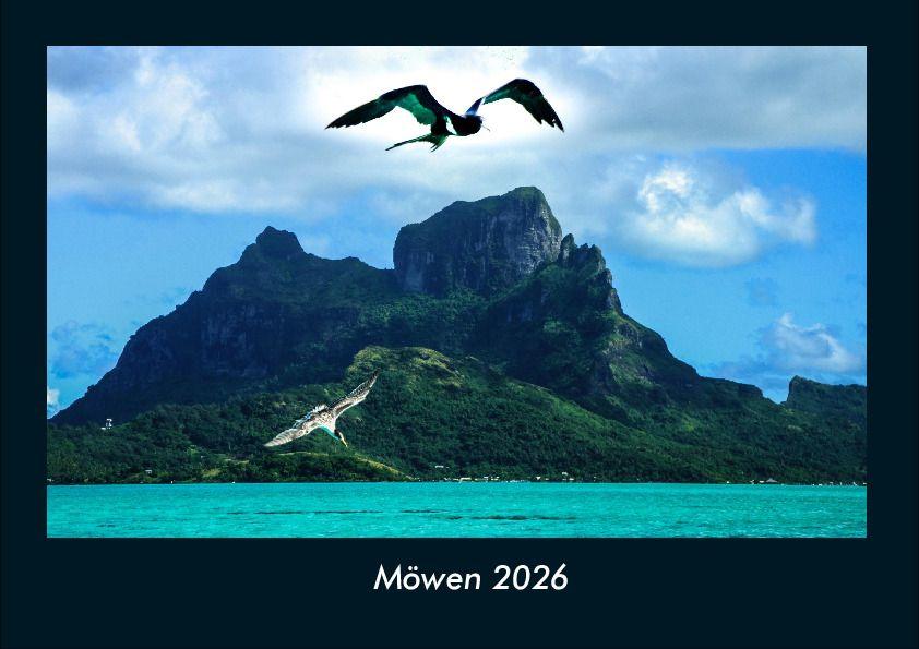 Möwen 2026 Fotokalender DIN A4