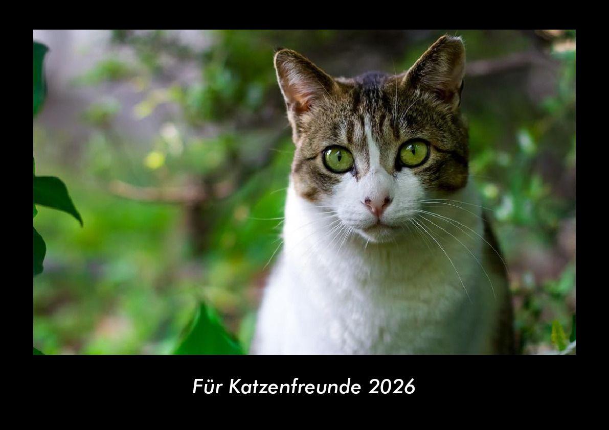 Für Katzenfreunde 2026 Fotokalender DIN A3