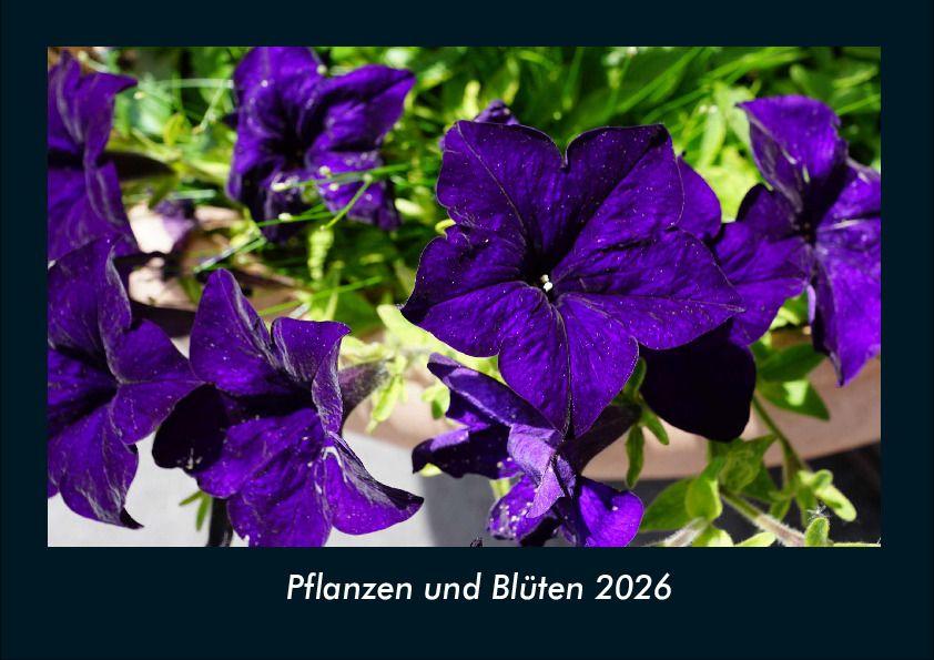 Pflanzen und Blüten 2026 Fotokalender DIN A4