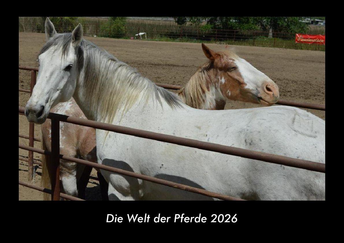 Die Welt der Pferde 2026 Fotokalender DIN A3