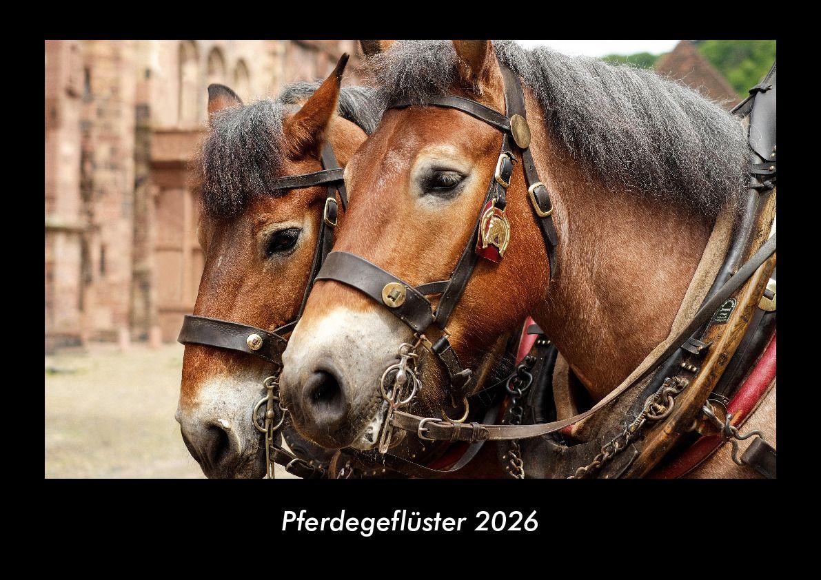 Pferdegeflüster 2026 Fotokalender DIN A3