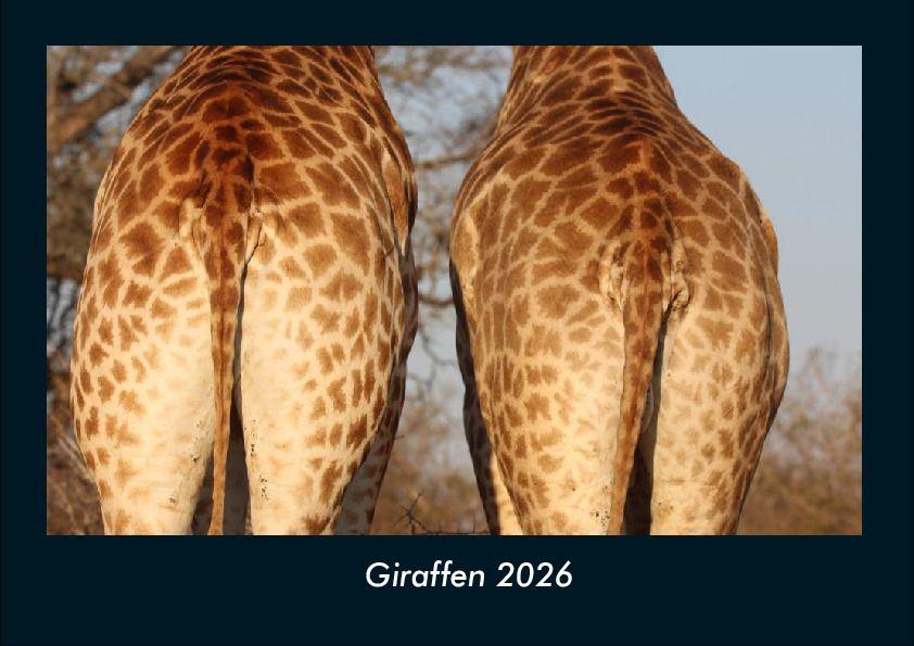 Giraffen 2026 Fotokalender DIN A4