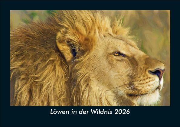 Löwen in der Wildnis 2026 Fotokalender DIN A5
