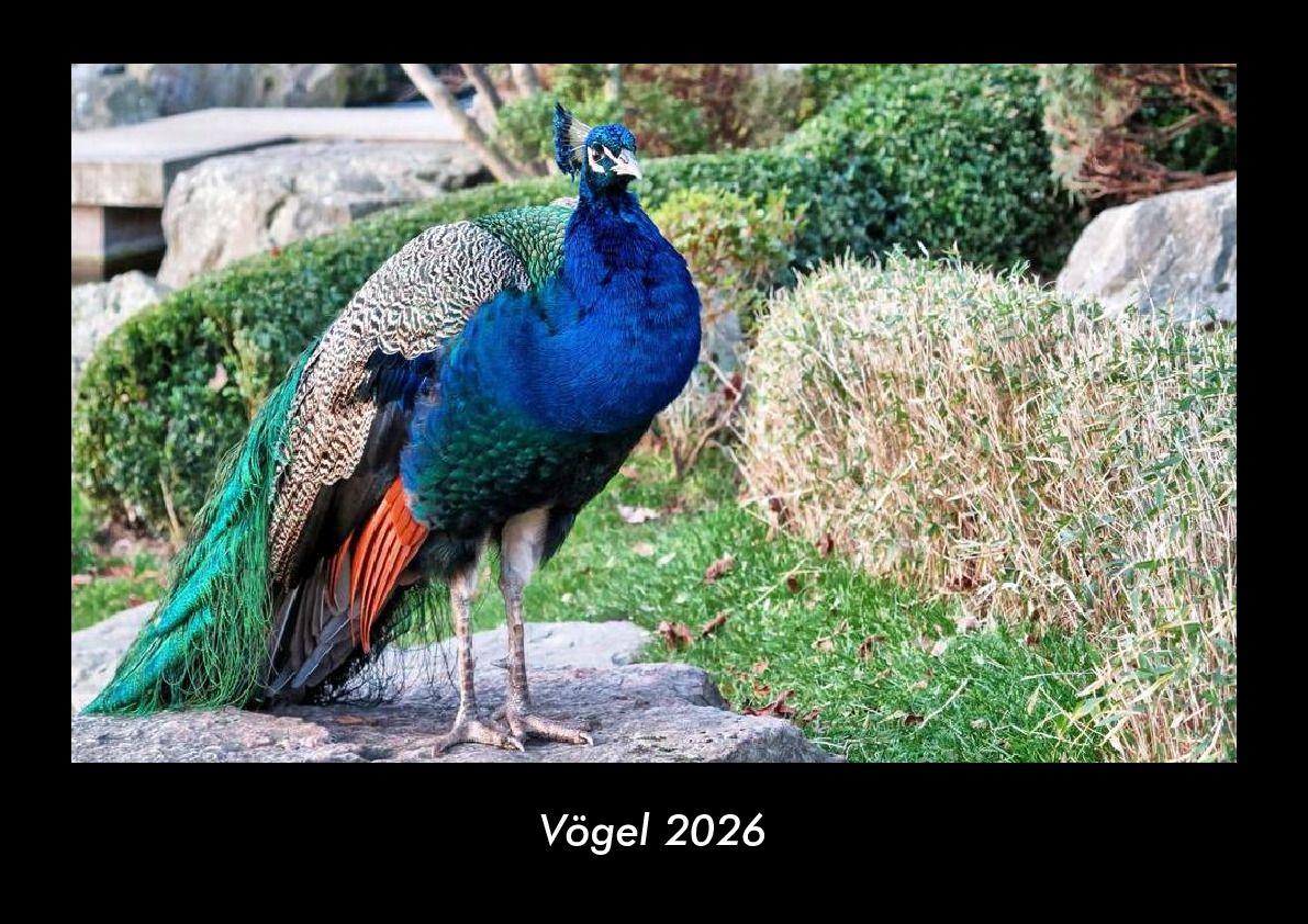 Vögel 2026 Fotokalender DIN A3