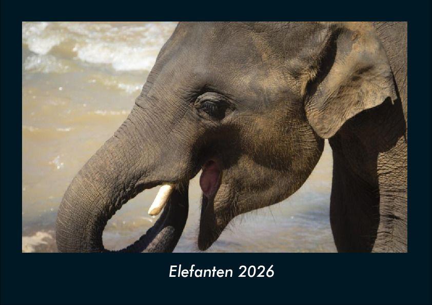 Elefanten 2026 Fotokalender DIN A4