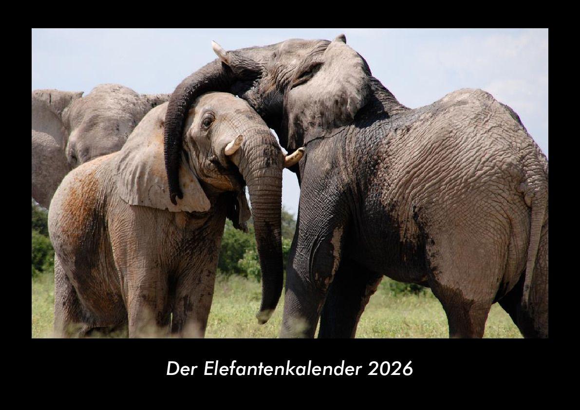 Der Elefantenkalender 2026 Fotokalender DIN A3