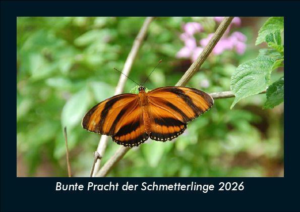 Bunte Pracht der Schmetterlinge 2026 Fotokalender DIN A5