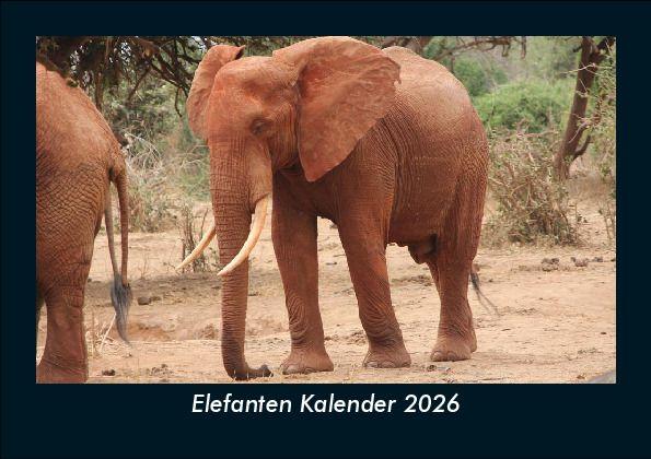 Elefanten Kalender 2026 Fotokalender DIN A5