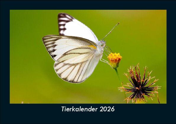 Tierkalender 2026 Fotokalender DIN A5