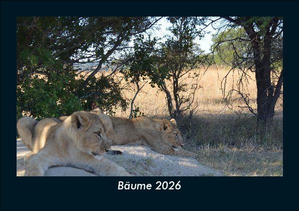 Bäume 2026 Fotokalender DIN A5