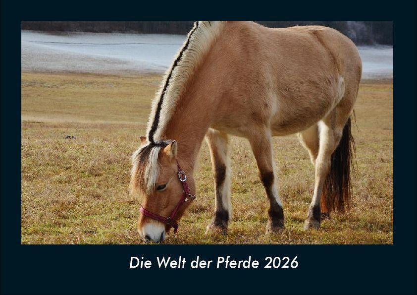 Die Welt der Pferde 2026 Fotokalender DIN A4