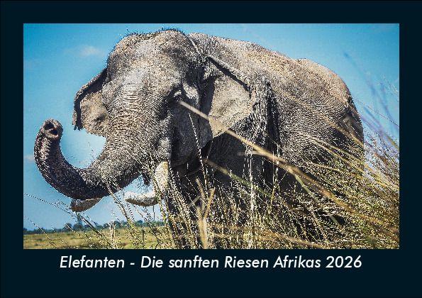 Elefanten - Die sanften Riesen Afrikas 2026 Fotokalender DIN A5