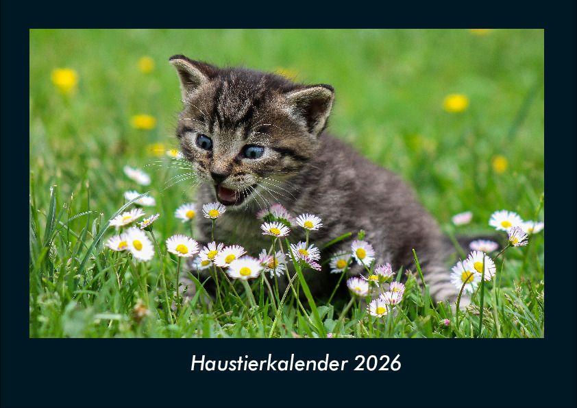 Haustierkalender 2026 Fotokalender DIN A4