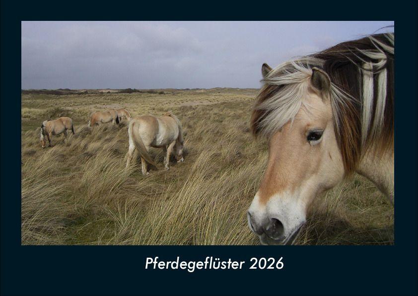 Pferdegeflüster 2026 Fotokalender DIN A4